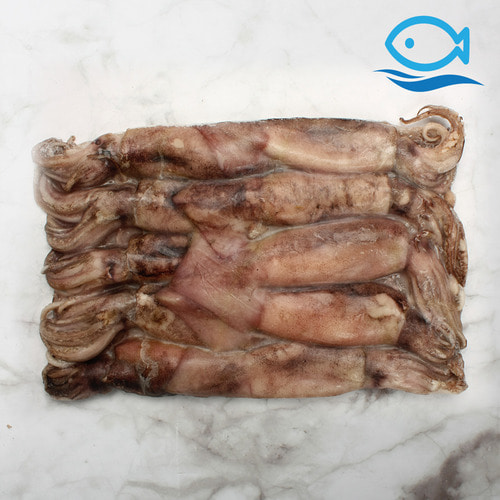 냉동 오징어 1박스 통오징어 중국산