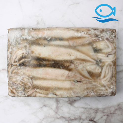 바다더해 국내산 선동오징어 중 8.5kg 동해안 오징어